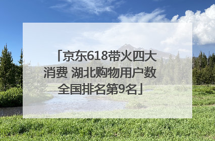京东618带火四大消费 湖北购物用户数全国排名第9名