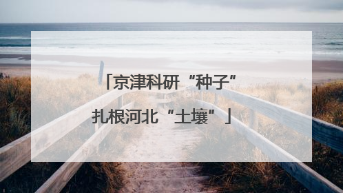 京津科研“种子”扎根河北“土壤”