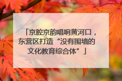 京腔京韵唱响黄河口，东营区打造“没有围墙的文化教育综合体”