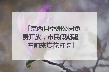京西月季洲公园免费开放，市民假期驱车前来赏花打卡