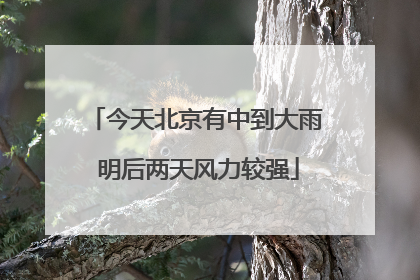 今天北京有中到大雨 明后两天风力较强