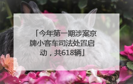今年第一期涉案京牌小客车司法处置启动，共618辆
