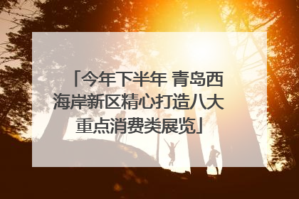 今年下半年 青岛西海岸新区精心打造八大重点消费类展览