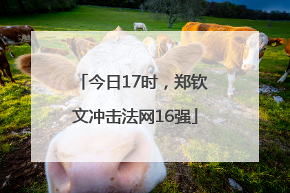 今日17时，郑钦文冲击法网16强