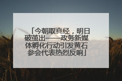 今朝取真经，明日破茧出——政务新媒体孵化行动引发黄石参会代表热烈反响