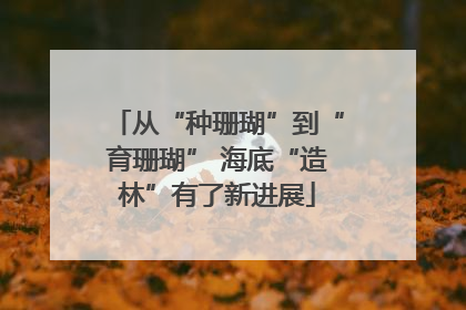 从“种珊瑚”到“育珊瑚” 海底“造林”有了新进展