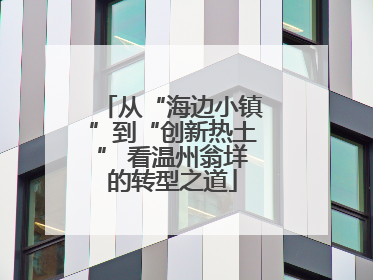 从“海边小镇”到“创新热土” 看温州翁垟的转型之道