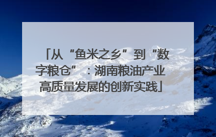 从“鱼米之乡”到“数字粮仓”：湖南粮油产业高质量发展的创新实践