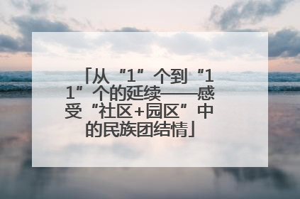 从“1”个到“11”个的延续——感受“社区+园区”中的民族团结情