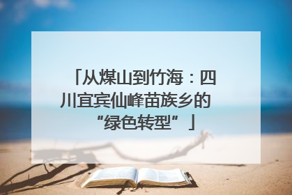 从煤山到竹海：四川宜宾仙峰苗族乡的“绿色转型”