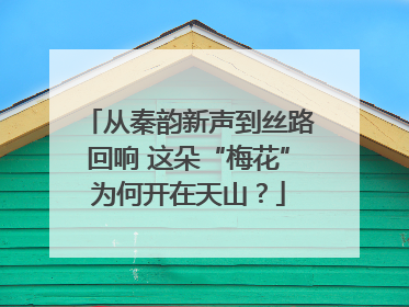 从秦韵新声到丝路回响 这朵“梅花”为何开在天山？