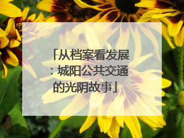 从档案看发展：城阳公共交通的光阴故事