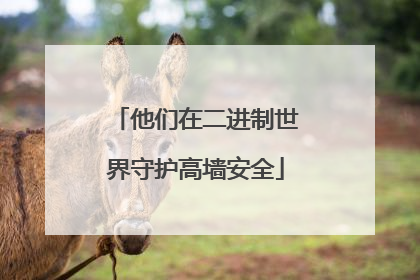 他们在二进制世界守护高墙安全