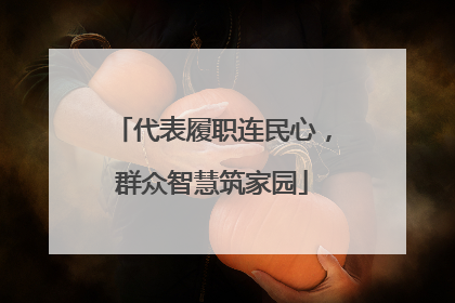 代表履职连民心，群众智慧筑家园