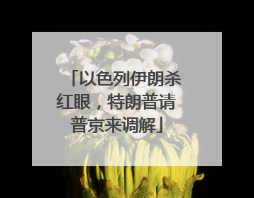 以色列伊朗杀红眼，特朗普请普京来调解