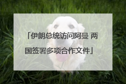 伊朗总统访问阿曼 两国签署多项合作文件