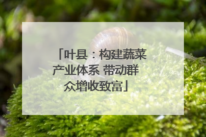 叶县：构建蔬菜产业体系 带动群众增收致富