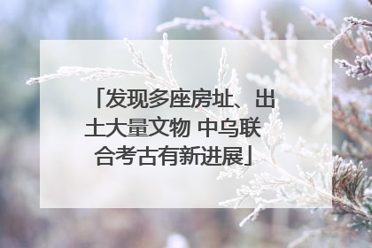 发现多座房址、出土大量文物 中乌联合考古有新进展