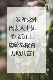 发挥党外代表人士优势 浙江上虞统战聚合力助共富
