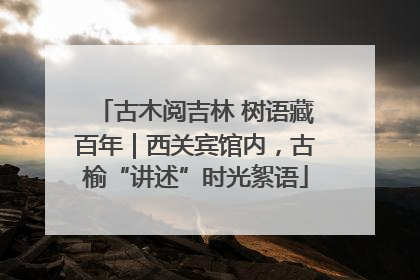 古木阅吉林 树语藏百年｜西关宾馆内，古榆“讲述”时光絮语