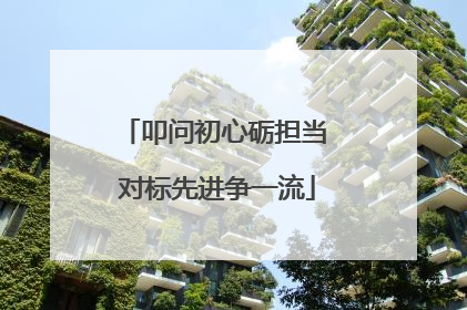 叩问初心砺担当 对标先进争一流