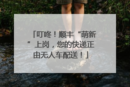 叮咚！顺丰“萌新”上岗，您的快递正由无人车配送！