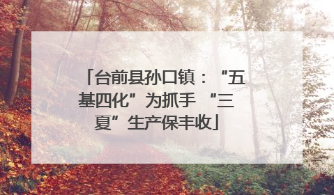 台前县孙口镇：“五基四化”为抓手 “三夏”生产保丰收