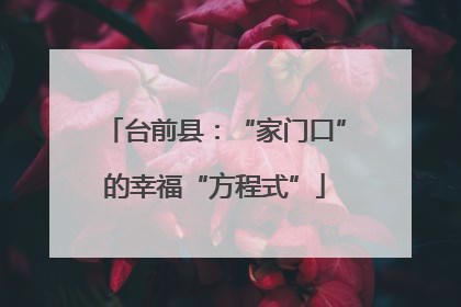 台前县：“家门口”的幸福“方程式”
