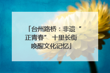 台州路桥：非遗“正青春” 十里长街唤醒文化记忆