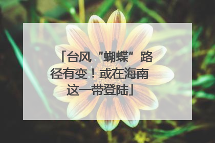 台风“蝴蝶”路径有变！或在海南这一带登陆