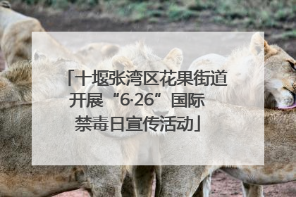 十堰张湾区花果街道开展“6·26”国际禁毒日宣传活动