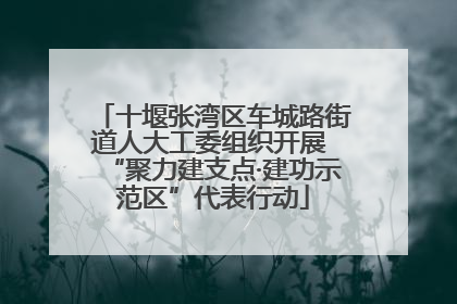 十堰张湾区车城路街道人大工委组织开展 “聚力建支点·建功示范区”代表行动