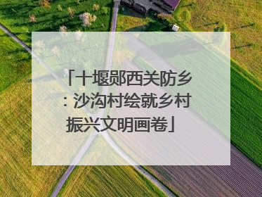 十堰郧西关防乡：沙沟村绘就乡村振兴文明画卷