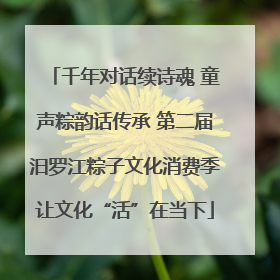 千年对话续诗魂 童声粽韵话传承 第二届汨罗江粽子文化消费季让文化“活”在当下