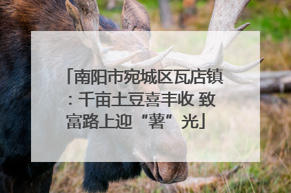南阳市宛城区瓦店镇：千亩土豆喜丰收 致富路上迎“薯”光