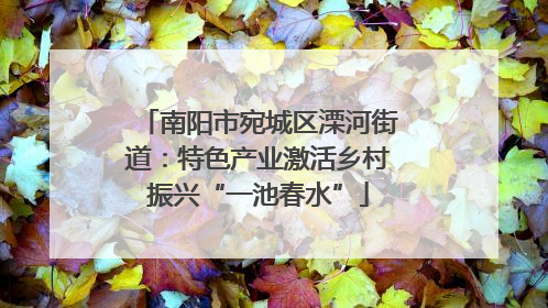 南阳市宛城区溧河街道：特色产业激活乡村振兴“一池春水”