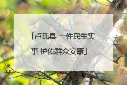 卢氏县 一件民生实事 护佑群众安康