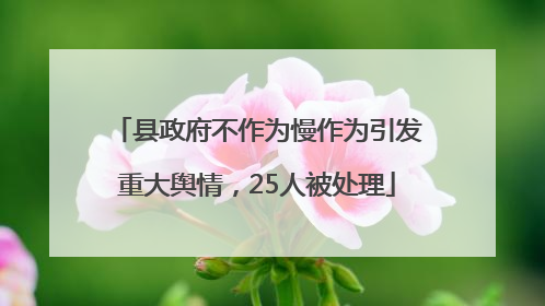 县政府不作为慢作为引发重大舆情，25人被处理