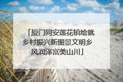 厦门同安莲花镇绘就乡村振兴新图景文明乡风润泽富美山川