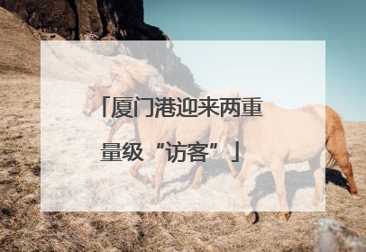 厦门港迎来两重量级“访客”
