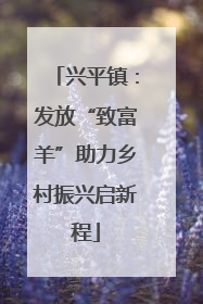兴平镇：发放“致富羊”助力乡村振兴启新程