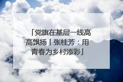 党旗在基层一线高高飘扬丨张桂芳：用青春为乡村添彩