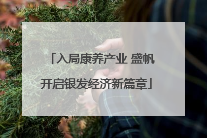 入局康养产业 盛帆开启银发经济新篇章