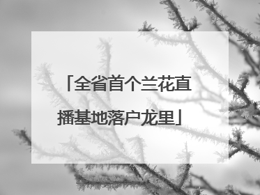 全省首个兰花直播基地落户龙里