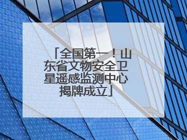 全国第一！山东省文物安全卫星遥感监测中心揭牌成立