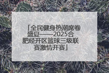 全民健身热潮席卷盛夏——2025合肥经开区篮球三级联赛激情开赛
