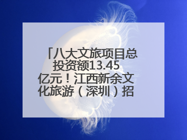 八大文旅项目总投资额13.45亿元！江西新余文化旅游（深圳）招商推介会举行
