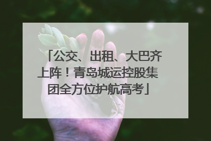 公交、出租、大巴齐上阵！青岛城运控股集团全方位护航高考