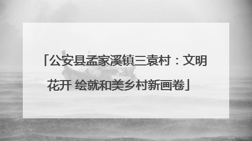 公安县孟家溪镇三袁村：文明花开 绘就和美乡村新画卷