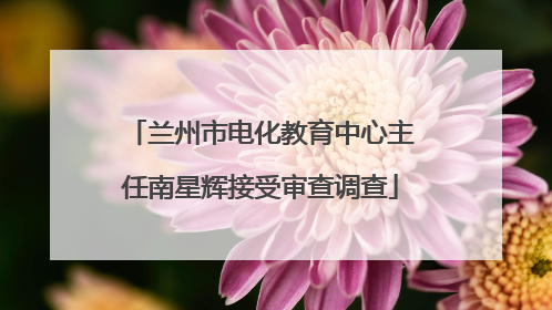 兰州市电化教育中心主任南星辉接受审查调查
